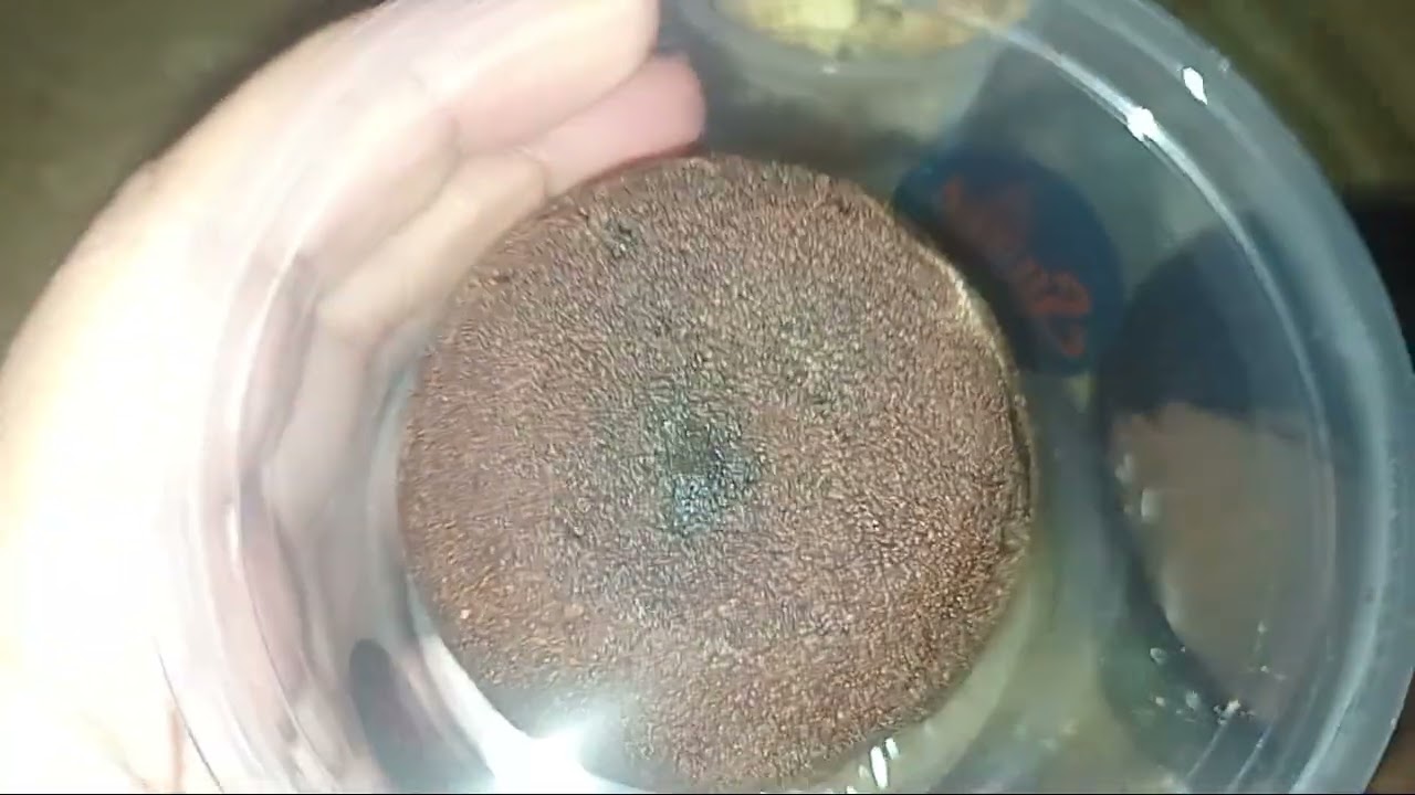  delicious  sweet 😋 