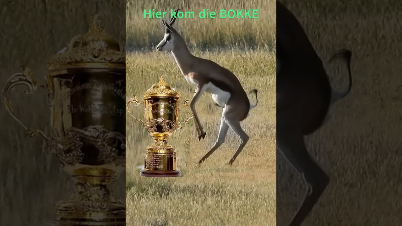 Hier kom die BOKKE