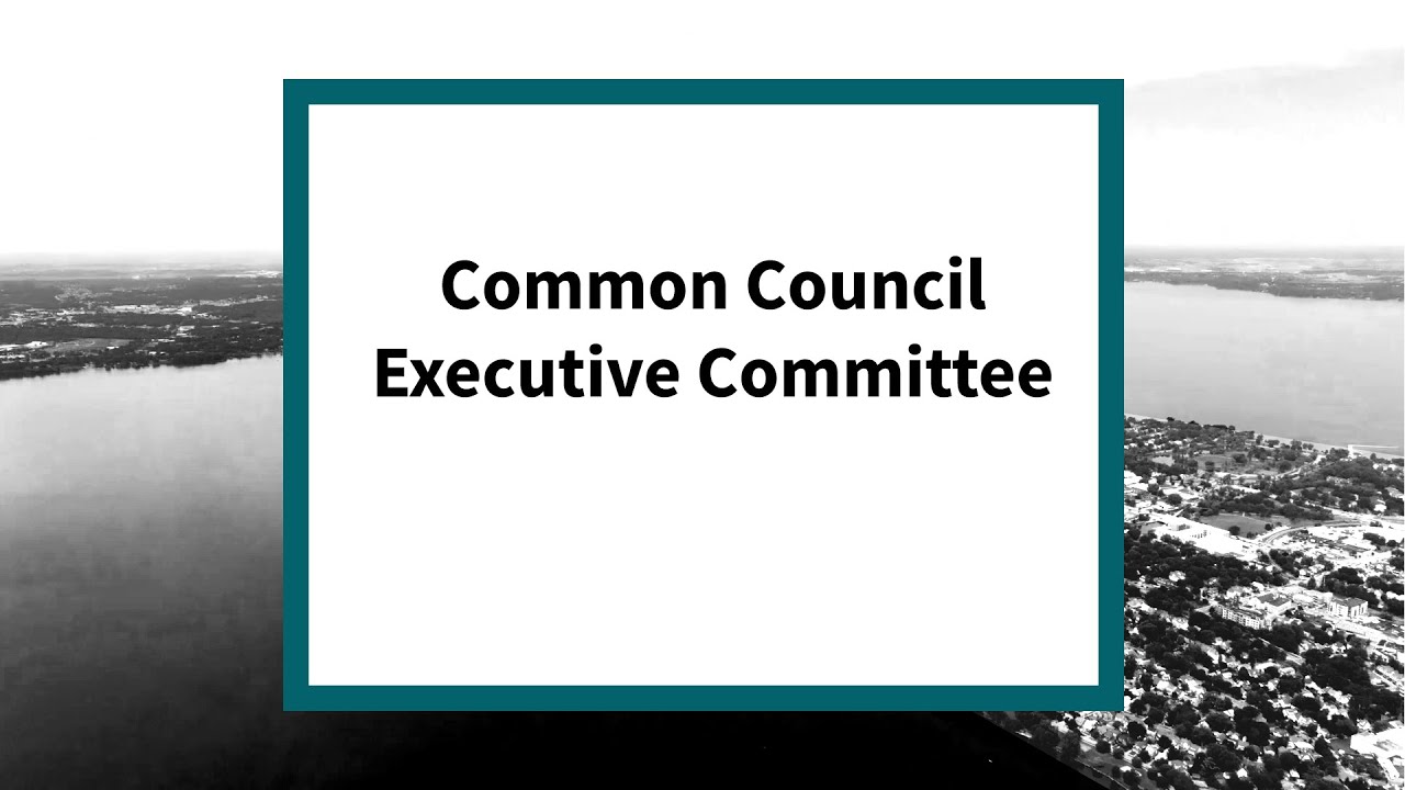 Common Council Executive Committee: Meeting of March, 2026