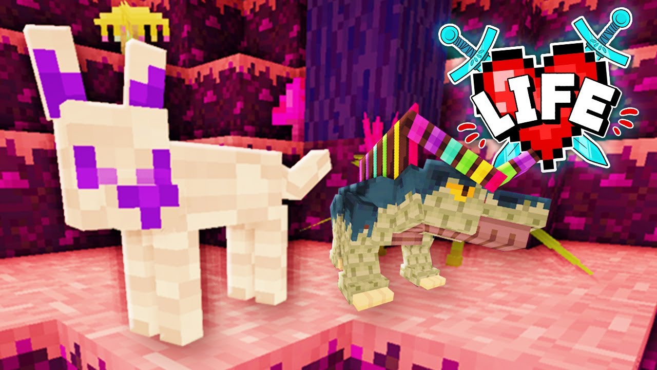 I found a RARE Crystal Wolf! | Minecraft X Life #25