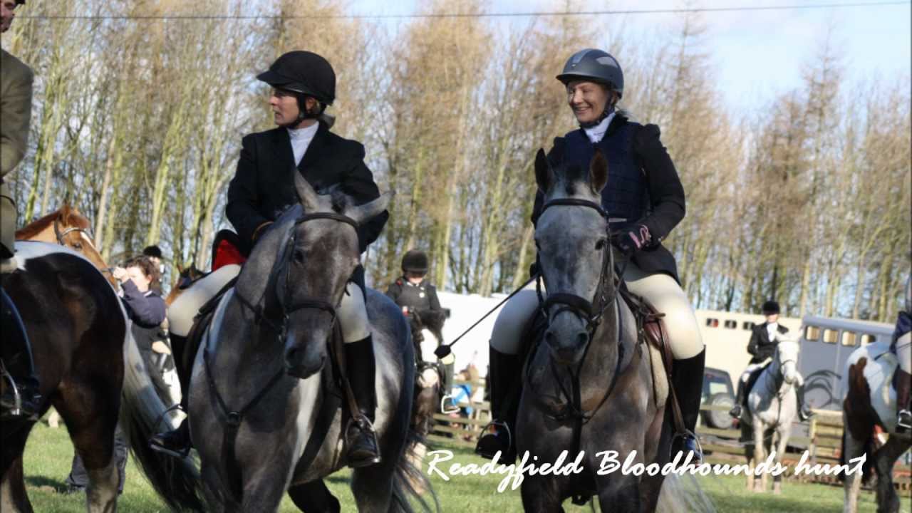 Readyfield Bloodhounds Hunt - Febuary 19th 2012!