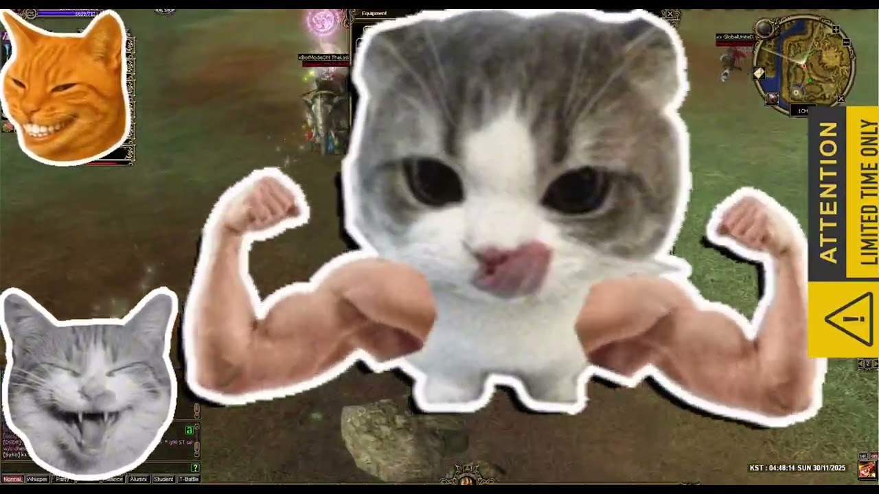 Kal Online (PVP) - Battlefield - YGhost - Guild: GANG (Teaching Roschi aka Maxy to be a Good Dog)