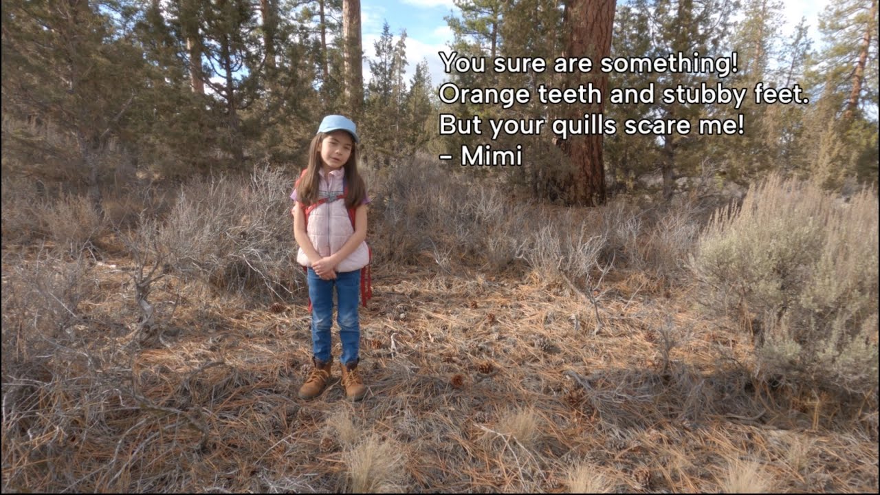Porcupines! A few facts and a poem by Mimi