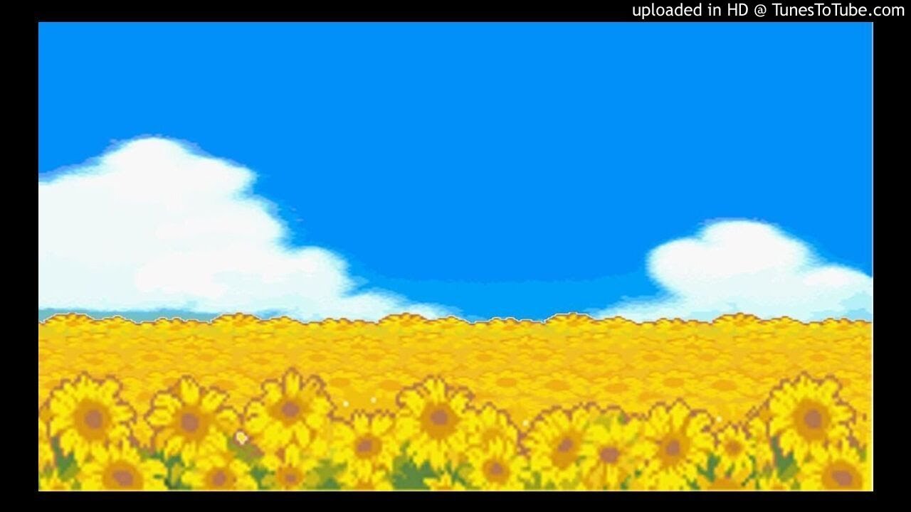 Yung Bans x Playboi Carti type beat - Sunflower (prod. camglo x @prodtyson)