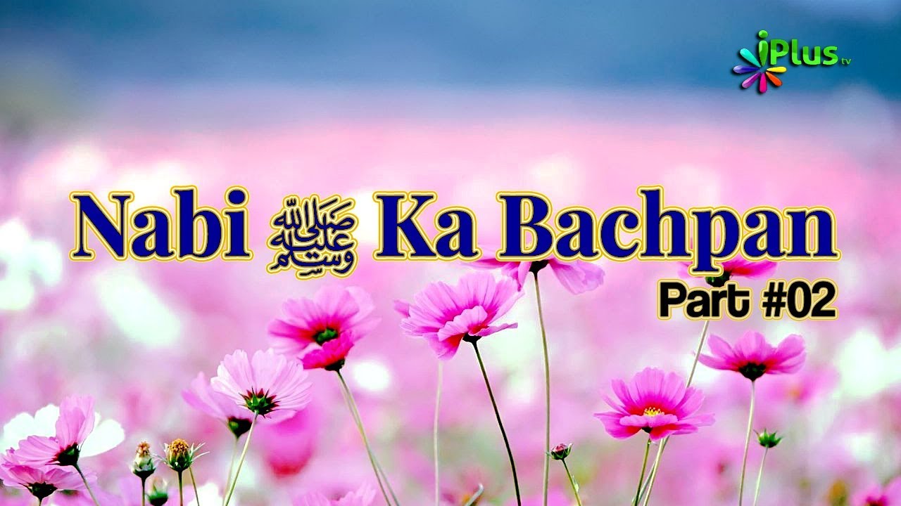 Nabi saw Ka Bachpan Part 02 - Paigham e Seerat Un Nabi saw Ep 04 By Shaikh Shamim Fauzi - iPlus TV