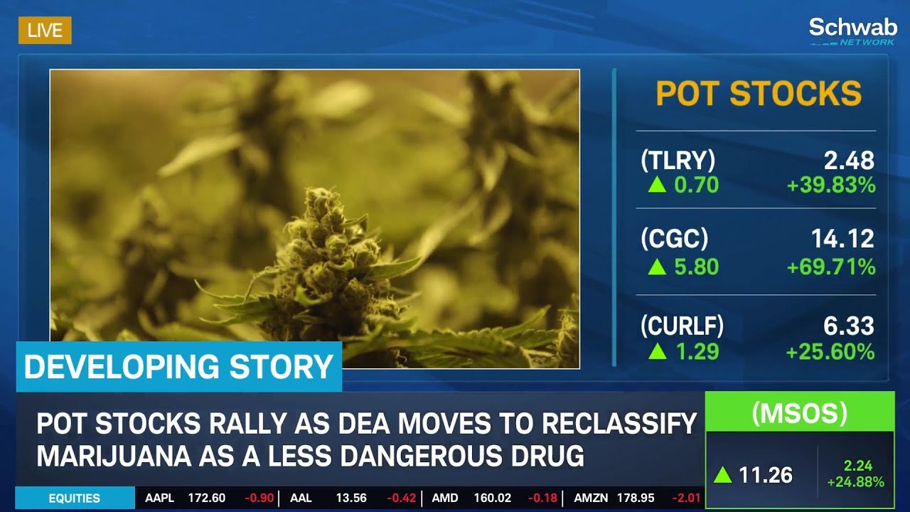 Pot Stocks Rally as DEA Moves to Reclassify Marijuana as Less Dangerous Drug