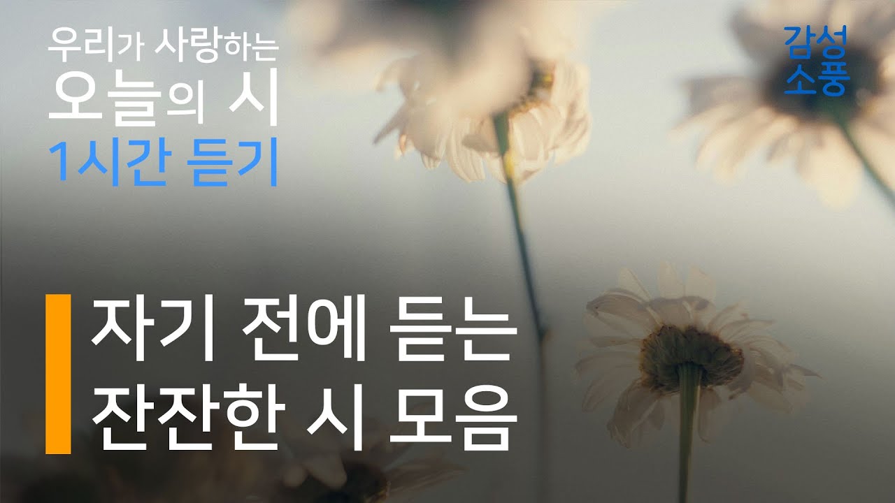 오늘의 시｜자기 전에 듣는 잔잔한 시 낭송 모음｜1시간 듣기｜좋은글｜좋은시｜유미숙｜오디오북｜감성소풍
