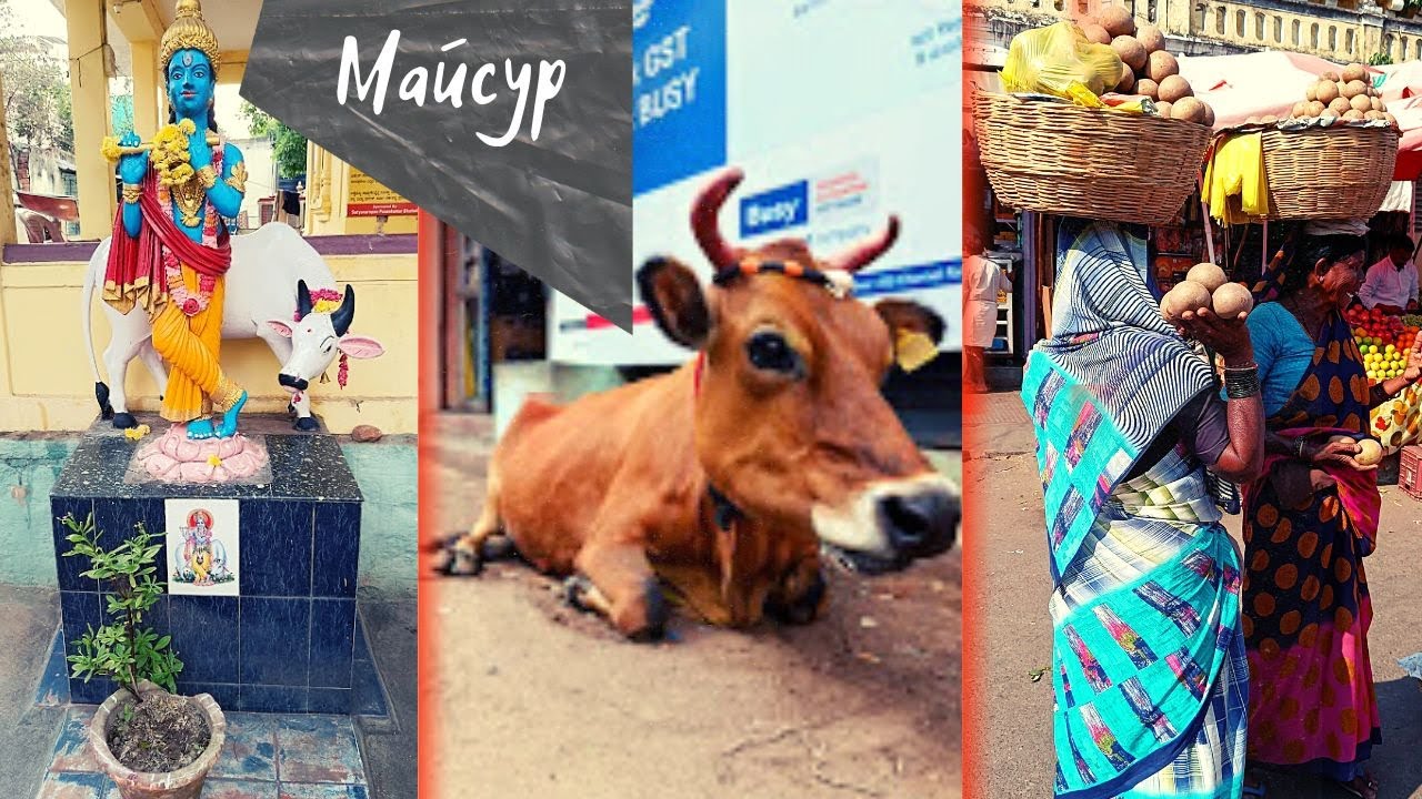 #23 Индия. Майсур|Майсурский дворец снаружи и изнутри!