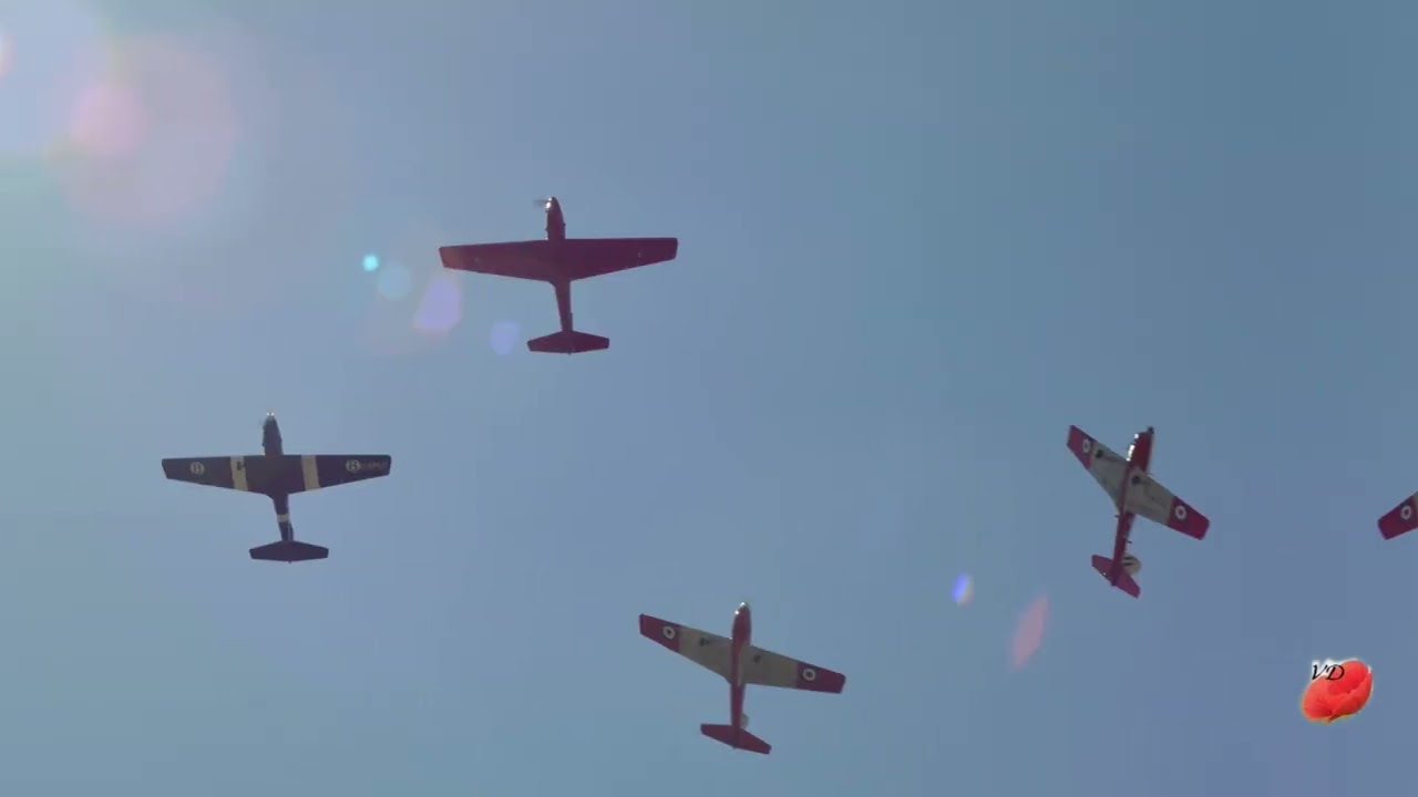 Chipmunk BullChipMeet Bulldog 2017 (J1)