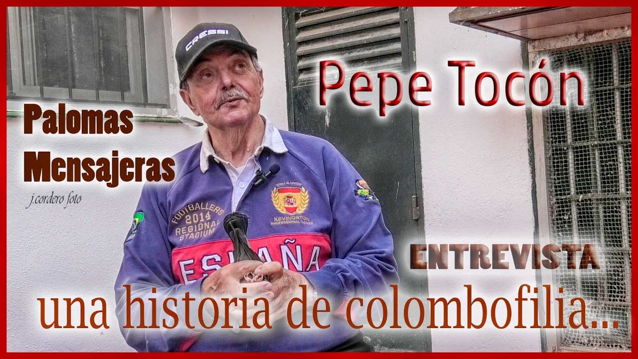PALOMAS MENSAJERAS.- Pepe Tocón.- UNA HISTORIA DE COLOMBOFILIA.
