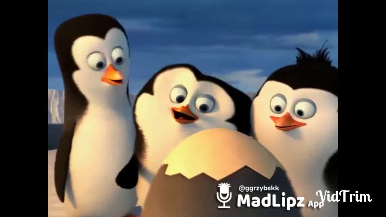 MadLipz! Najlepsze Polskie filmiki MadLipz! #9