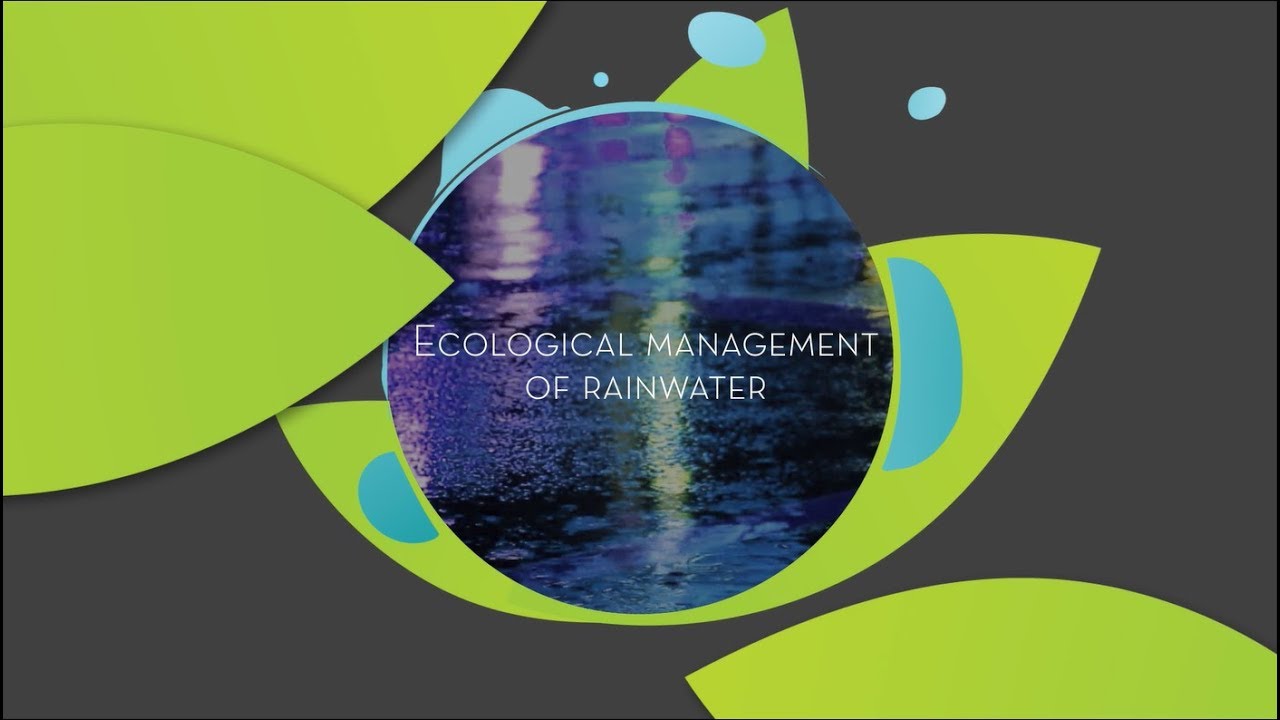 Ecological management of rainwater : Ecological engineering & aquatic environments