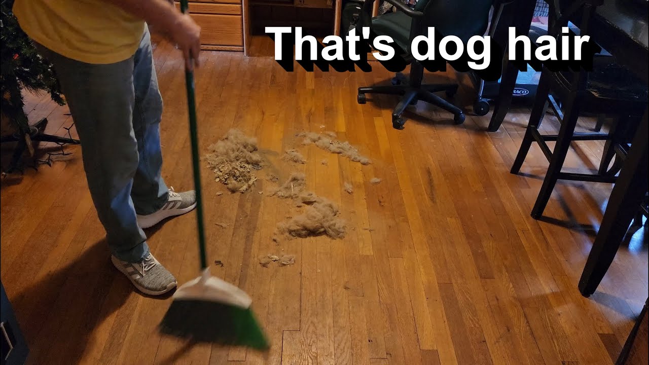 Cleaning a disabled woman's house for FREE!