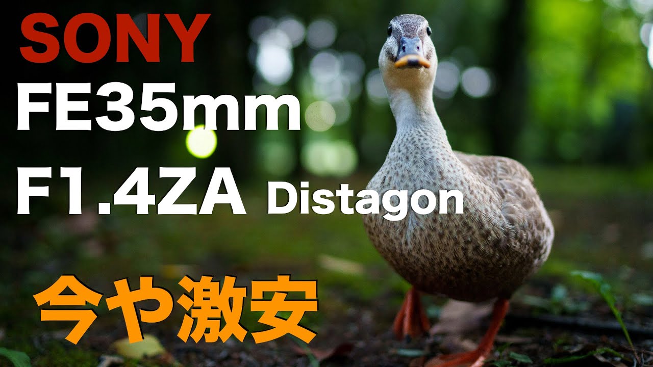 SONY FE35mmF1.4ZA Distagon・GMで影が薄くなったZEISSの、超お買い得な大口径レンズ・開放から平然と写る現代的な描写