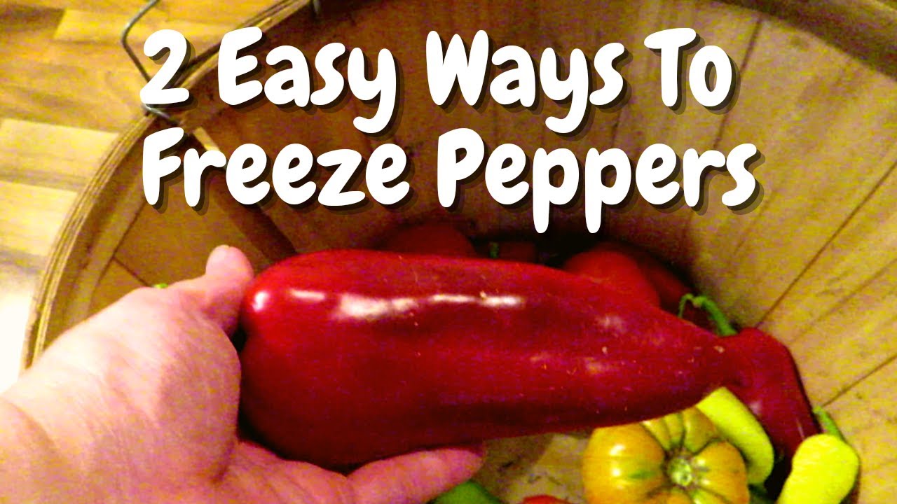How To Freeze Peppers EASY | Easy Way To Freeze Peppers | Freezing Peppers