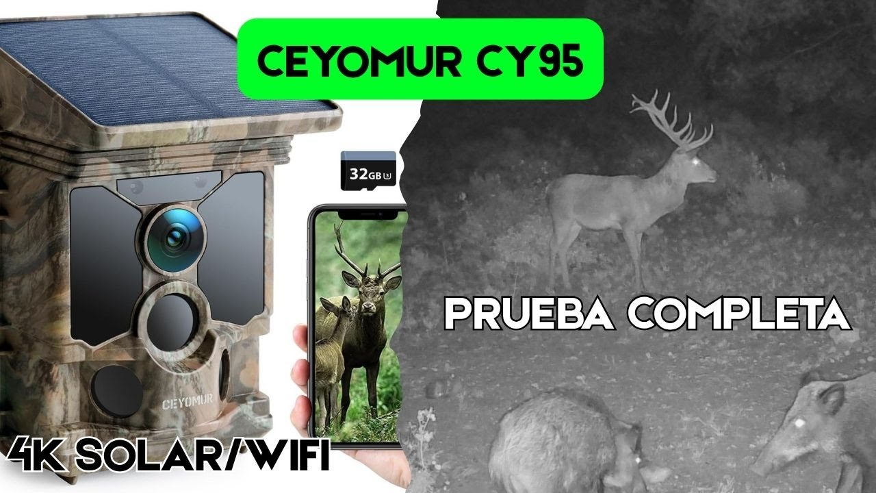 CEYOMUR CY95 | &iquest;La Mejor C&aacute;mara Trail 4K Solar? An&aacute;lisis Tras 1 Mes de Uso Real y Grabaciones