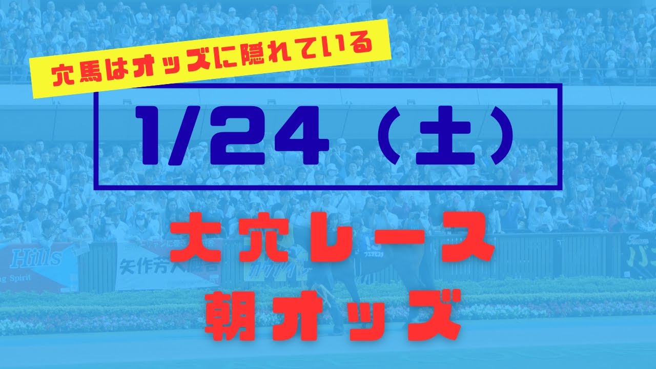 【オッズ競馬】本日のオッズ表
