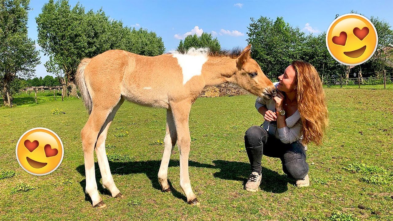 OMG DIT IS MARLEY ALS VEULEN! | felinehoi