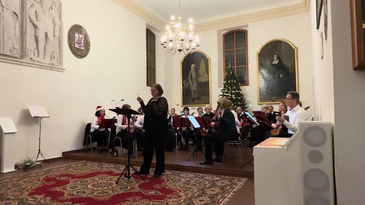 Schwipslied - Eine Nacht in Venedig (Johann Strauß)