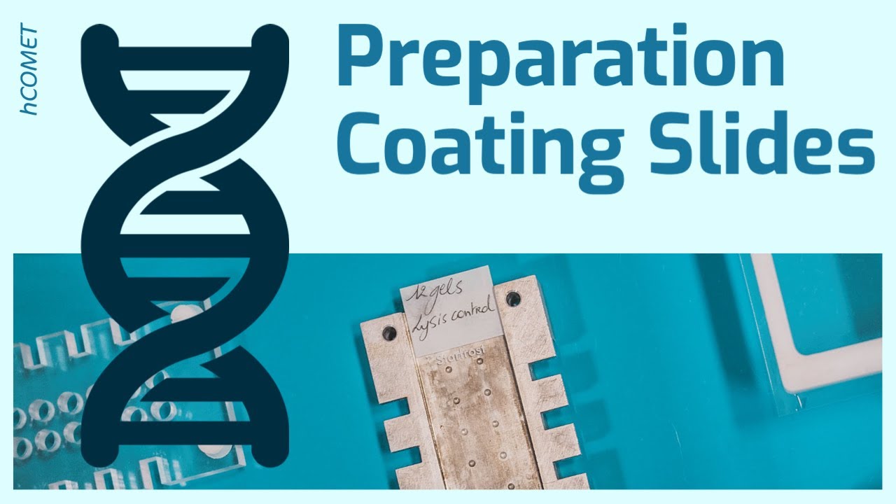 Preparation: Coating slides // Measuring DNA damage using the comet assay
