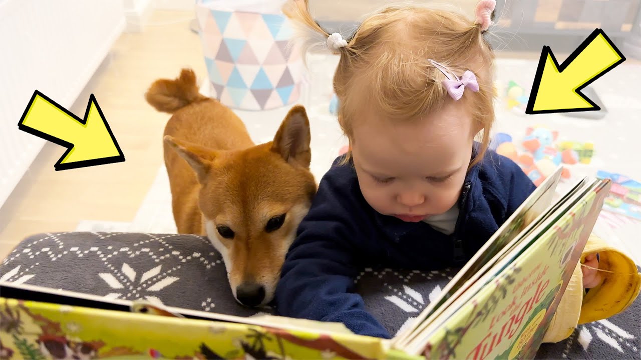 TODDLER LEARNING ENGLISH AND POLISH ? ❓ [LIVING IN POLAND] 2023