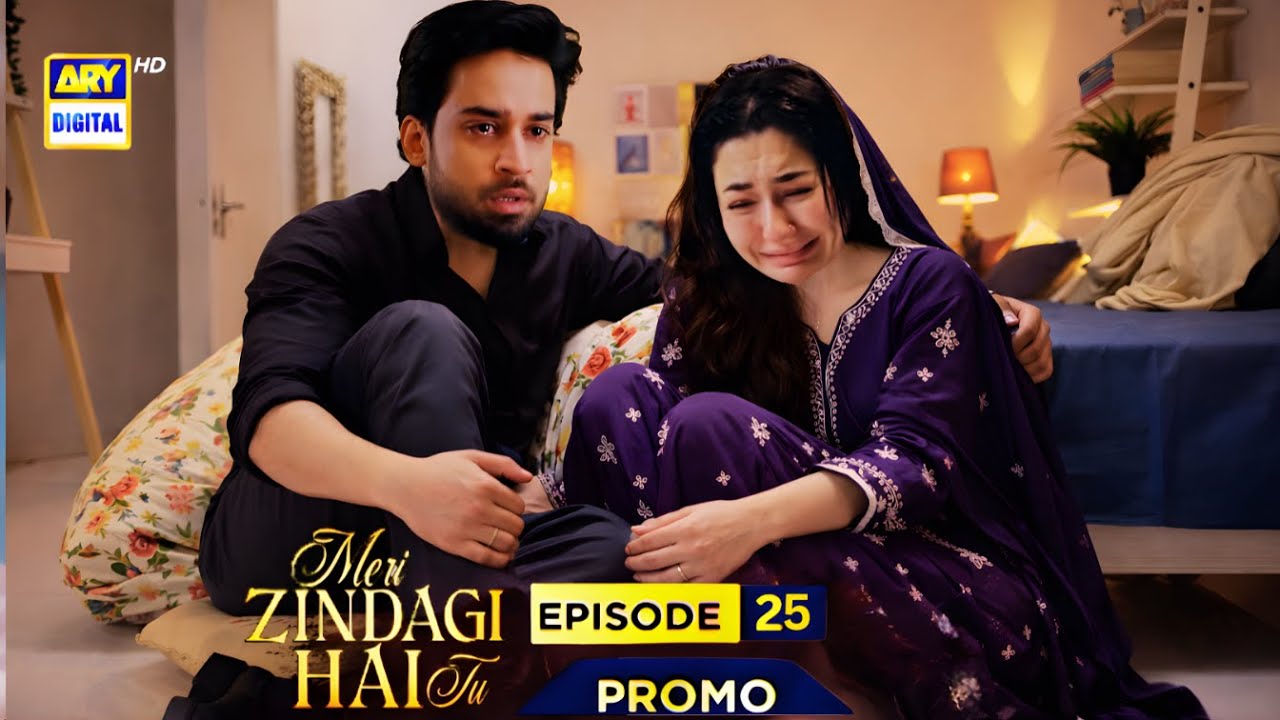 Wedding Night Gift, Kamiyar Torture Ayra! Meri Zindagi Hai Tu Episode 25 & 26 Reviews & Prediction