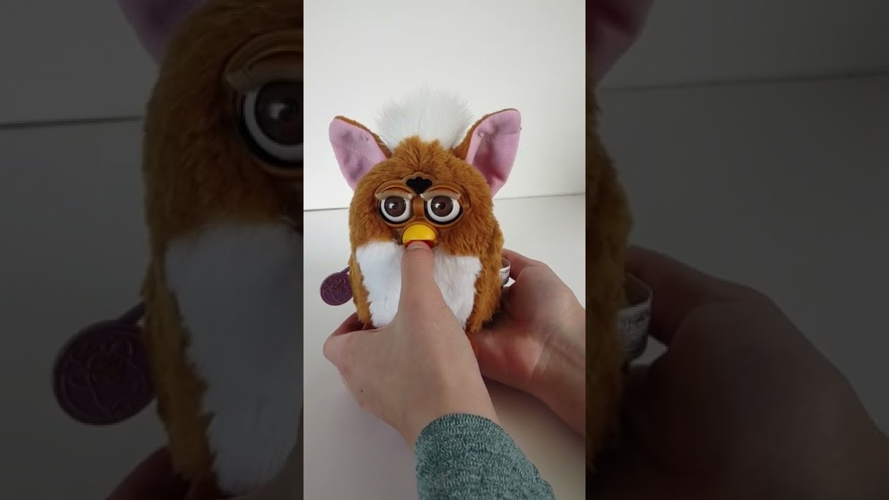 (Elliot) 1998 LTD KB Toys Toffee Creme Tiger Electronics Furby Brown & White Custom testing ♡♡♡