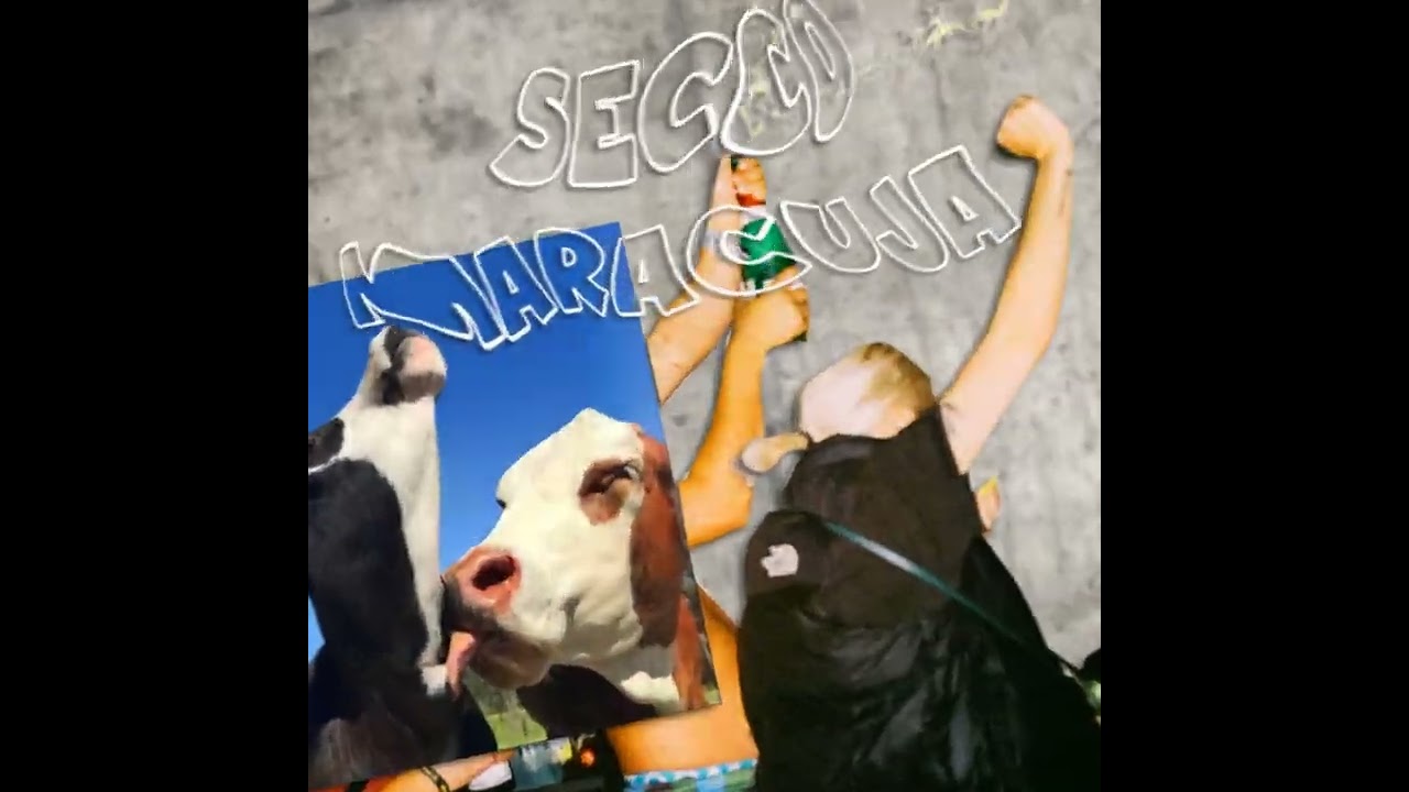 SIRA, Monk, Longus Mongus, Themba - Secco Maracuja (Official Visualizer)