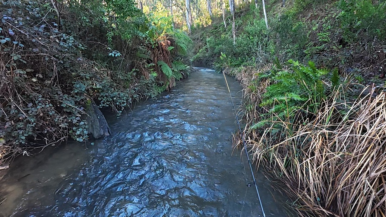 Trout Opening Day 2025: How Has The Trout Season Started?
