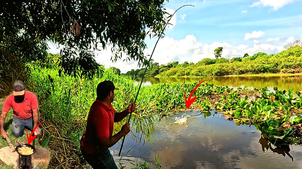 SAI PARA ACAMPAR, ENCONTREI O NINHO DOS GIGANTES, NO FINAL O IMPOSSÍVEL.