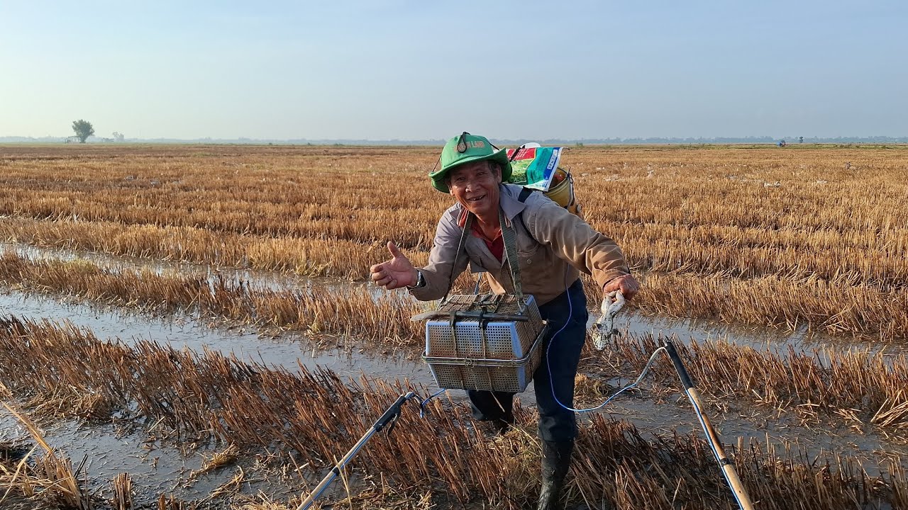 Nay chú sáu trích ếch nhảy trên đồng nha, chú sáu mới làm xong cây 14f, đi thử nha