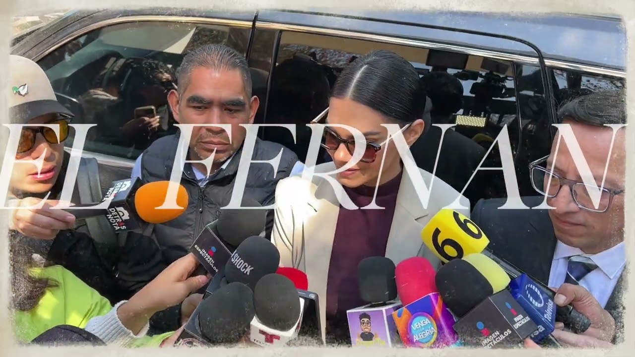 LIVIA BRITO EN EL RECLUSORIO SUR POR FALSEDAD EN DECLARACIÓN EN EL CASO DE PAPARAZZI AGREDIDO