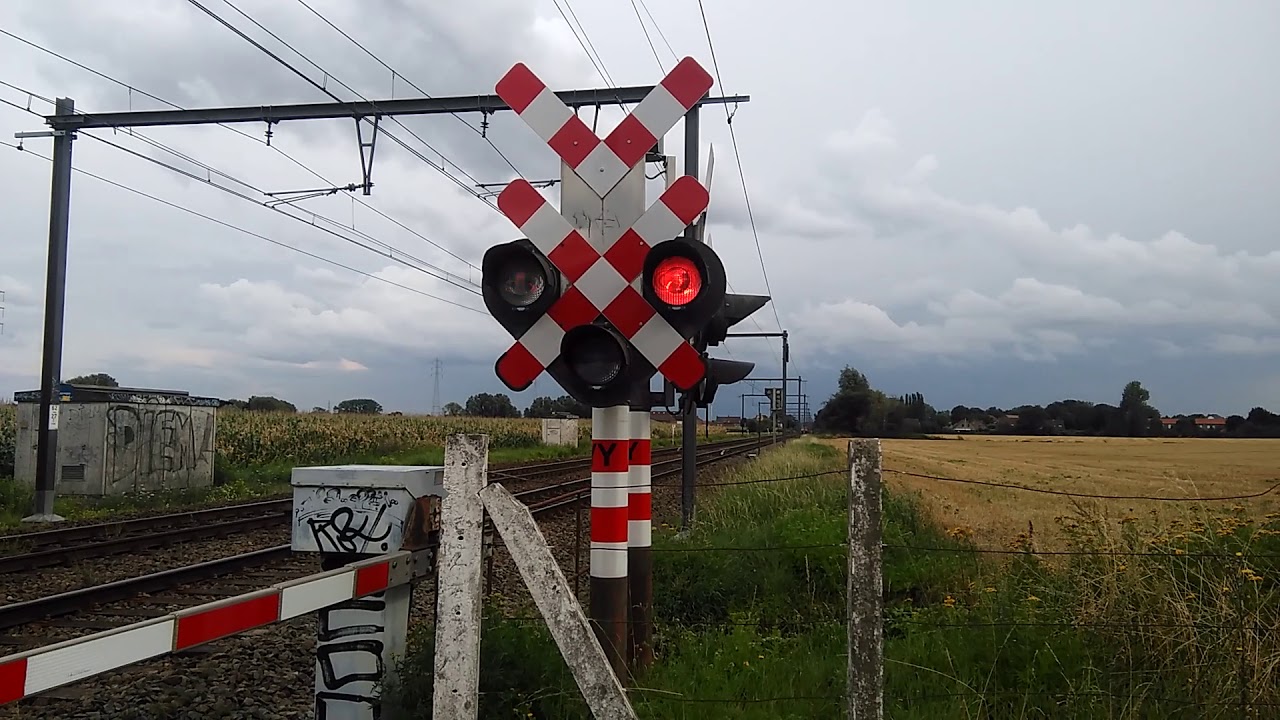 Train sncb nechin