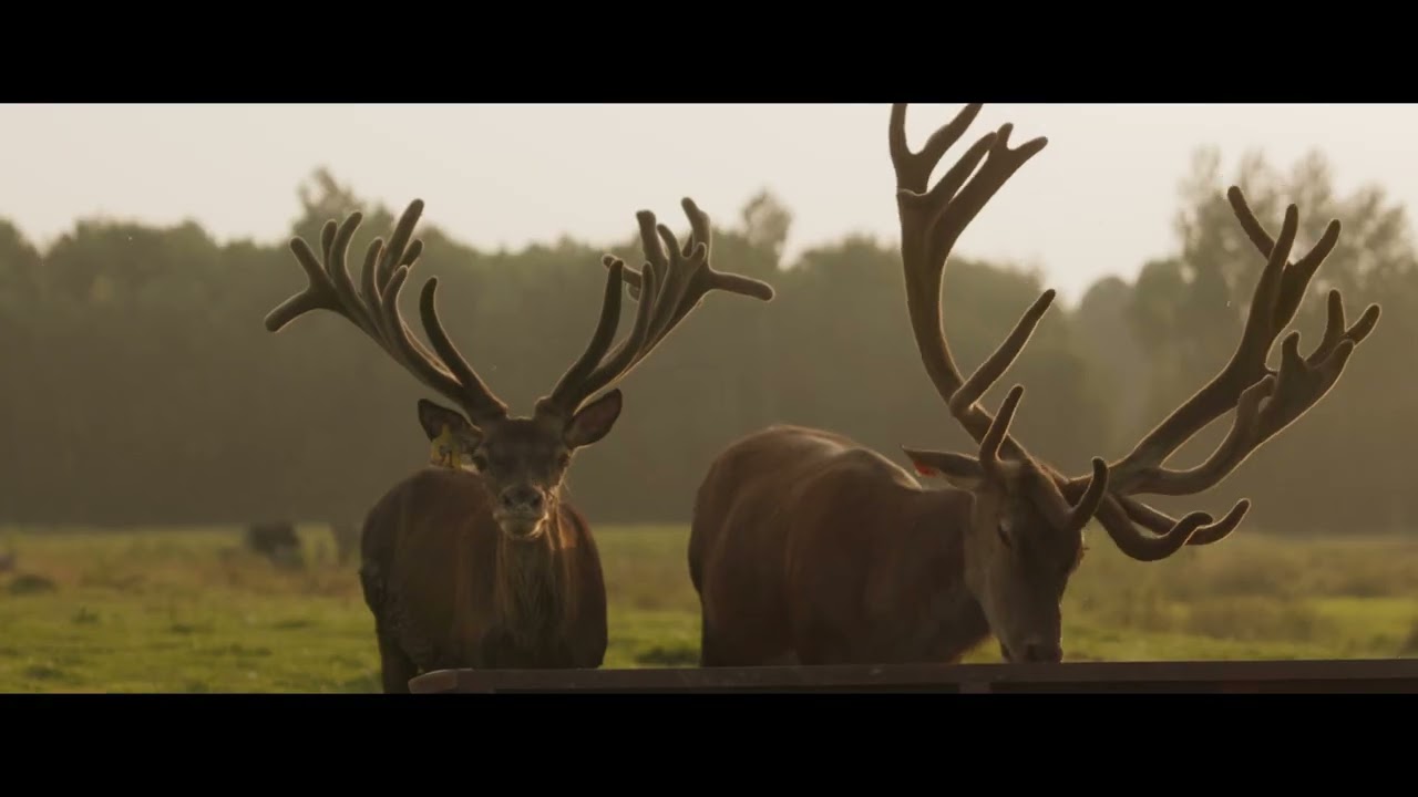 2025 farm video