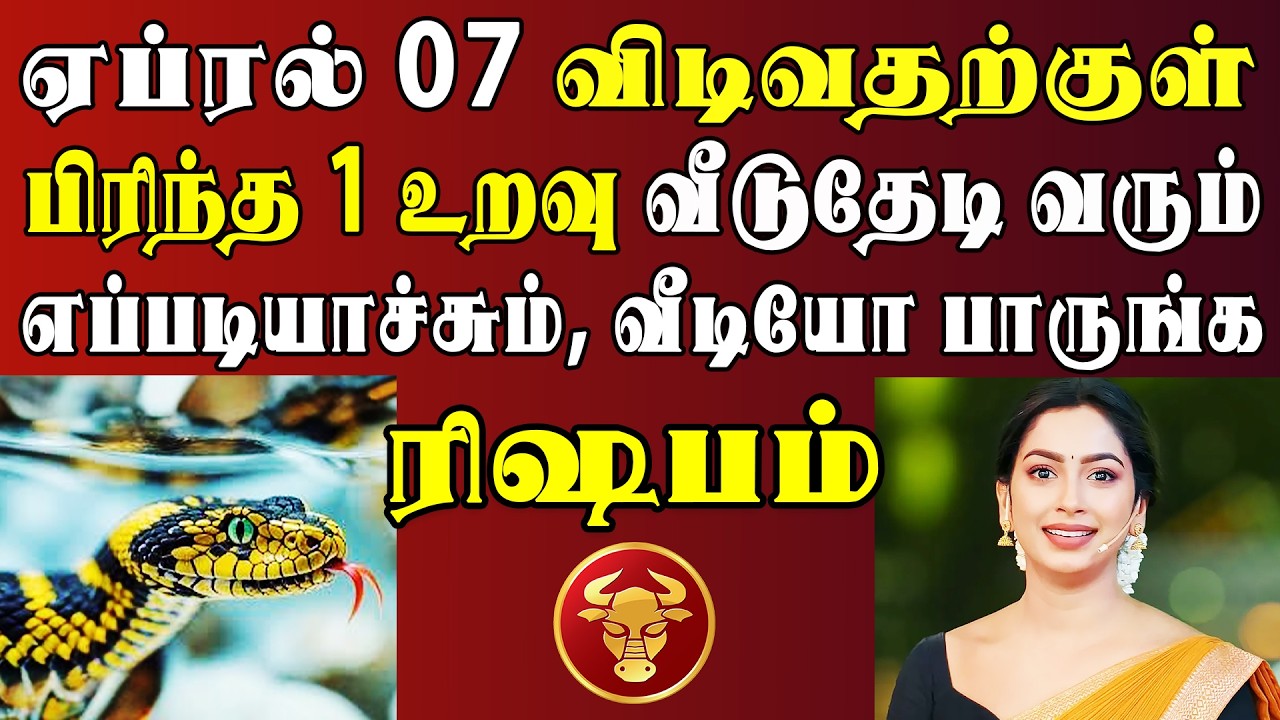 வரப்போகும் உறவின் பெயர் தெரிஞ்சா 10 நாளைக்கு தூங்க மாட்டீங்க | Rishabam Rasi | ரிஷபம் ராசி