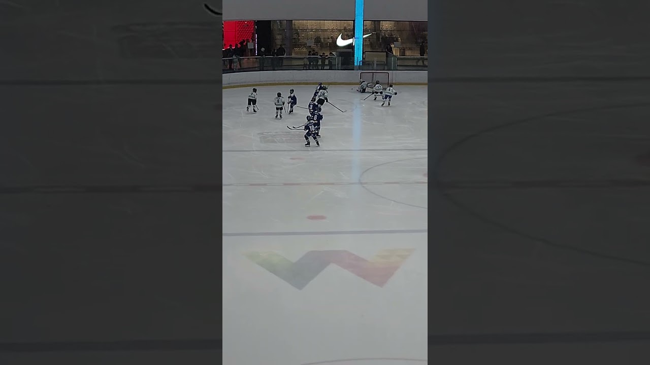 West edmonton hockey game.kids duvision.