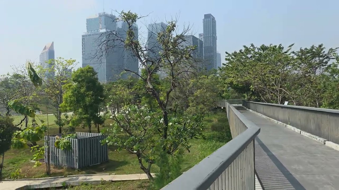 Exploring Benjakitti Park | Urban Nature in Bangkok, Thailand 🇹🇭
