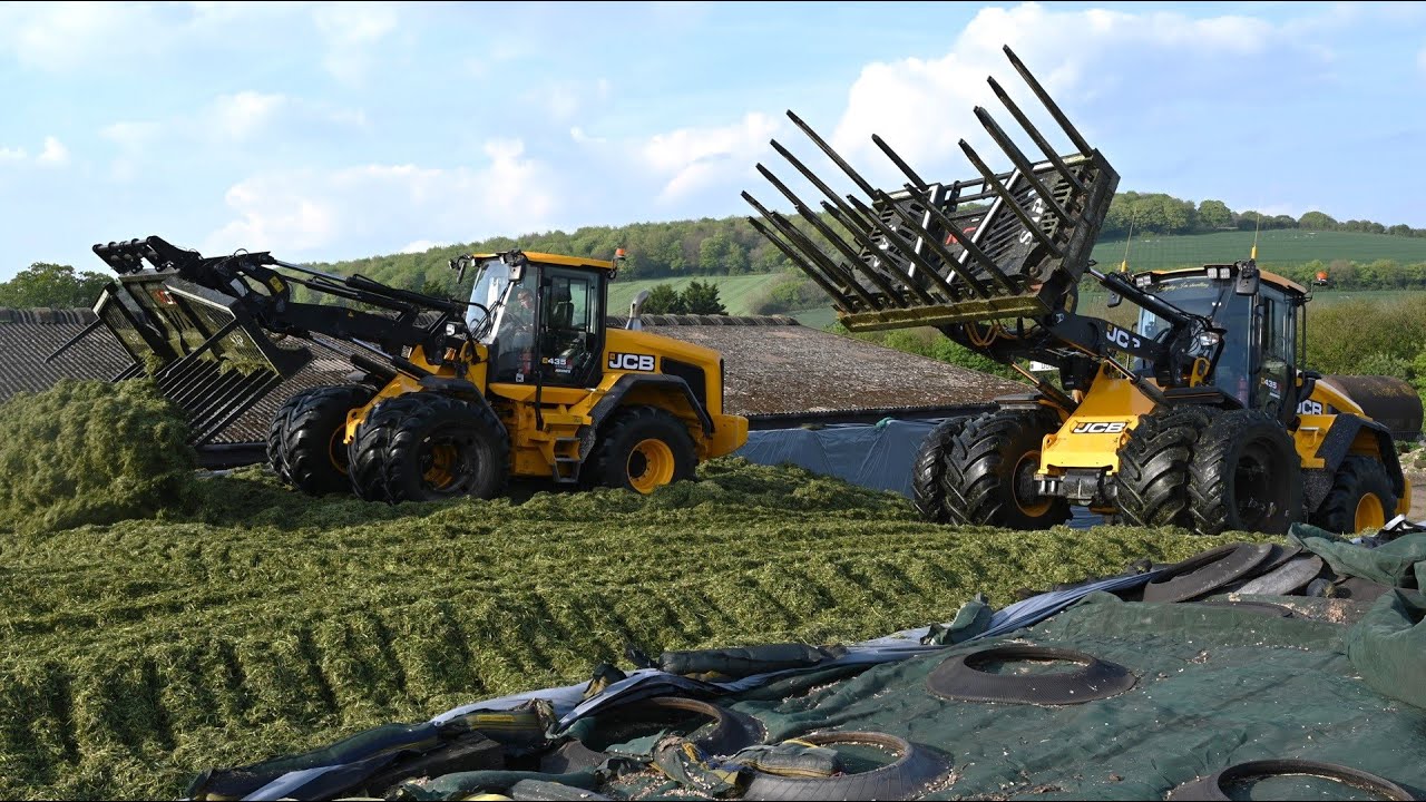 Silage 2024 - Buckraking on the Pit with TWO JCB 435S