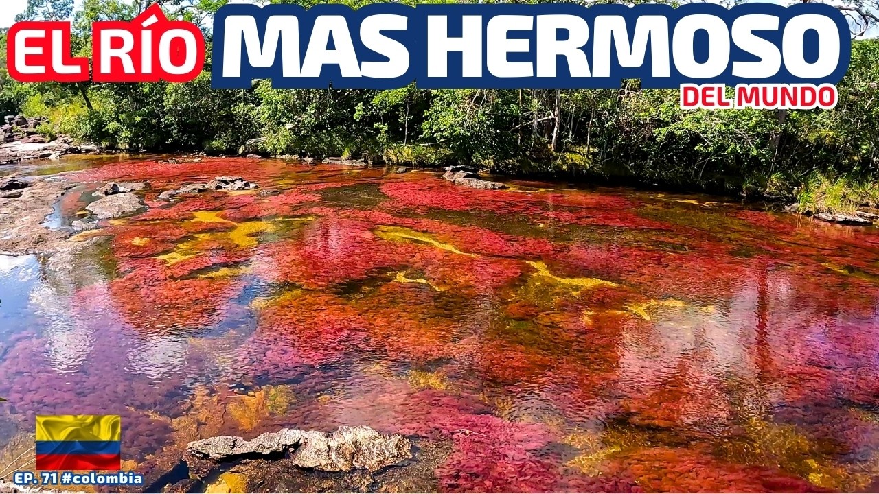 RUTA DESDE San José del Guaviare HASTA Caño Cristales: Un viaje IMPRESIONANTE 🚗🌄 [EP 71] #colombia