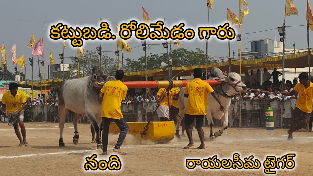 చిలకలూరిపేట సీనియర్స్ 3వ రోలిమెడం ఆలగనురు నంద్యాల జిల్లా...