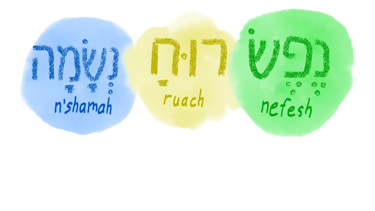 How the Hebrew Bible Uses Ruach, Nefesh, and N'shamah