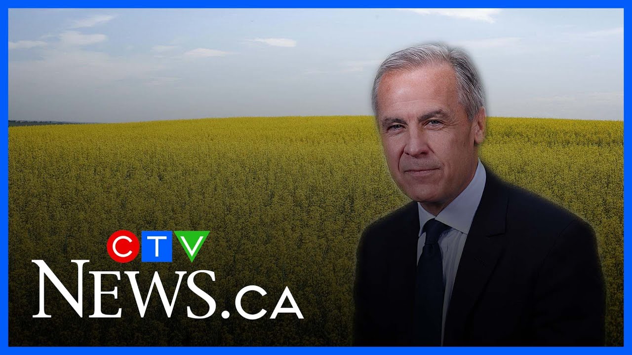 Here&rsquo;s what canola farmers want from Carney&rsquo;s trip to China