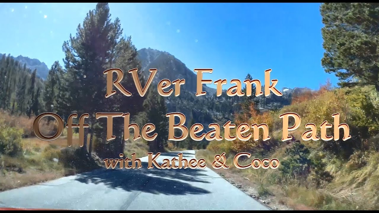 498-Onion Valley Campground, looking for the wild onions