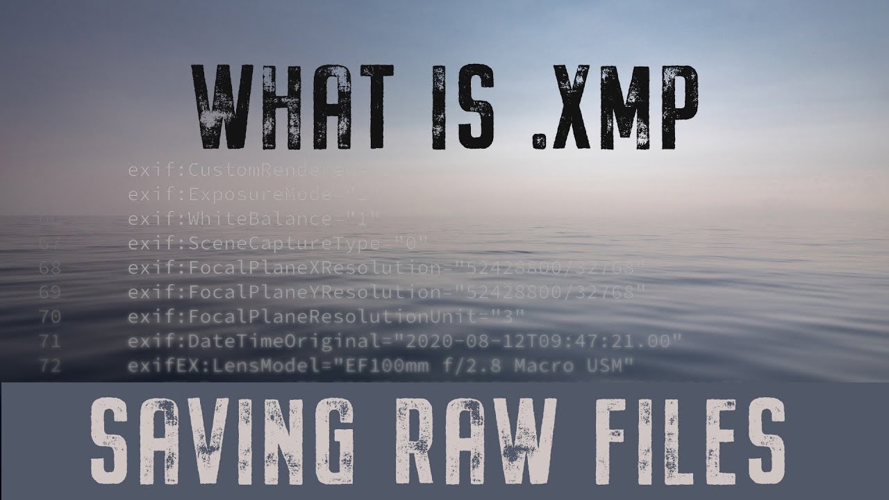 .xmp Что такое файл .xmp, зачем я его храню и как от него избавиться.