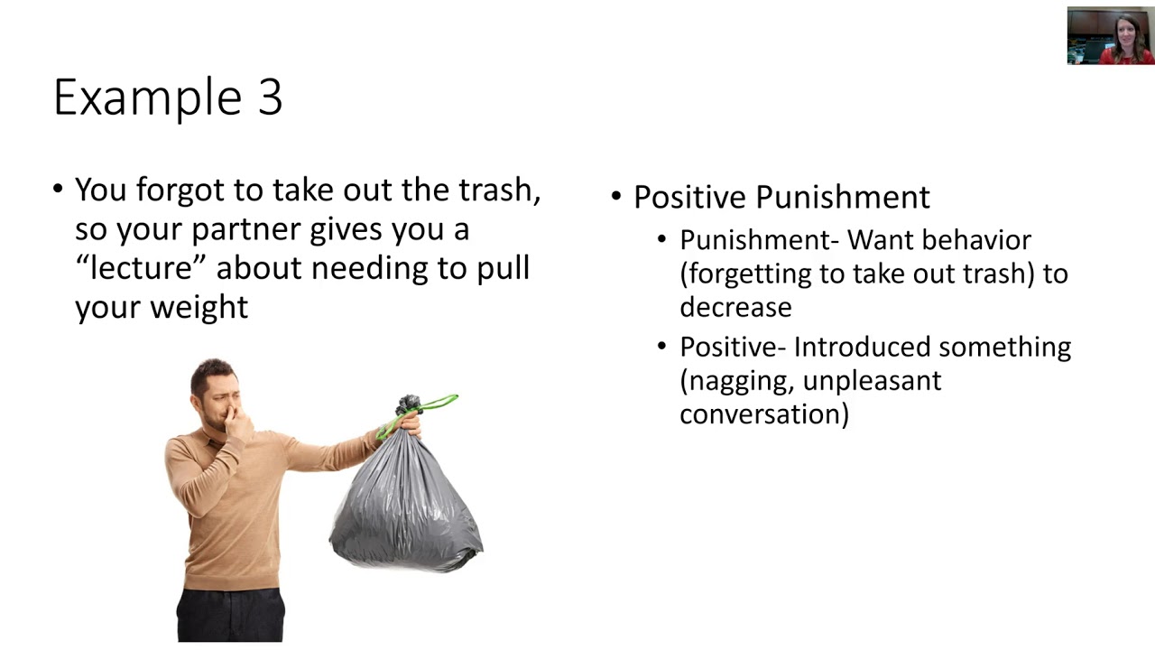 Operant Conditioning- Positive & Negative Reinforcement, Punishment