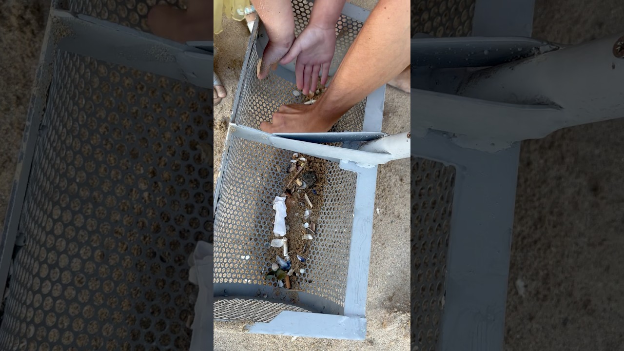 Shocking Discovery: Gold Coins Unearthed During Beach Cleanup! 