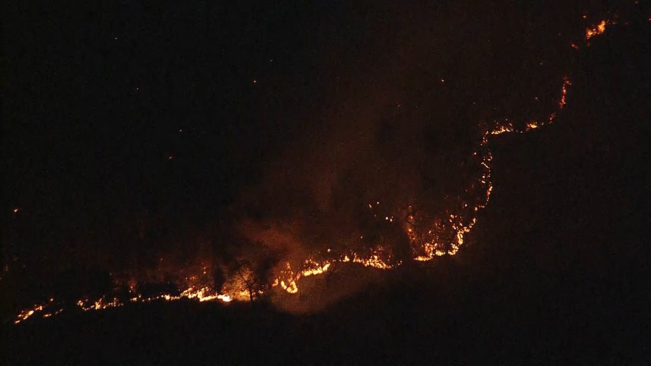 約７６ヘクタールが焼失　栃木・足利の山火事