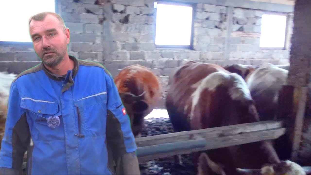 Vratili se u svoje selo kod Srebrenice.Imaju oko 50 velikih grla i nešto ovaca.Drugi posao nebih ...