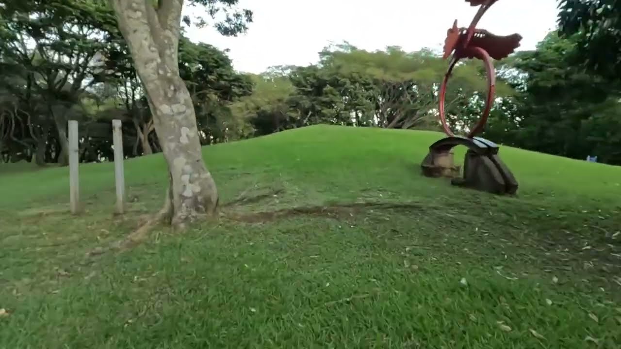 Caminando por el Parque La Sabana