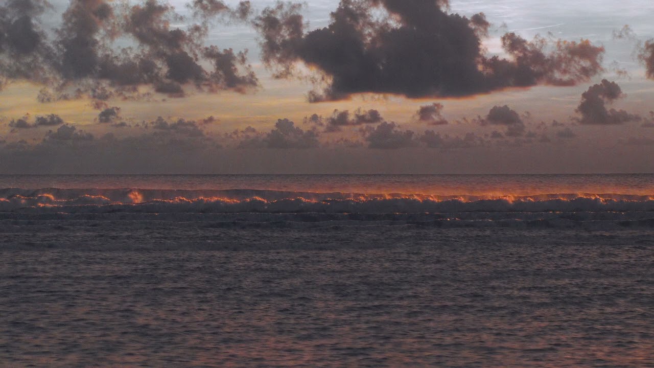 Trellion - Go To Sleep